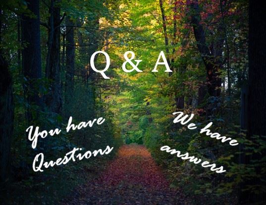 Questions and Answers newsflash image