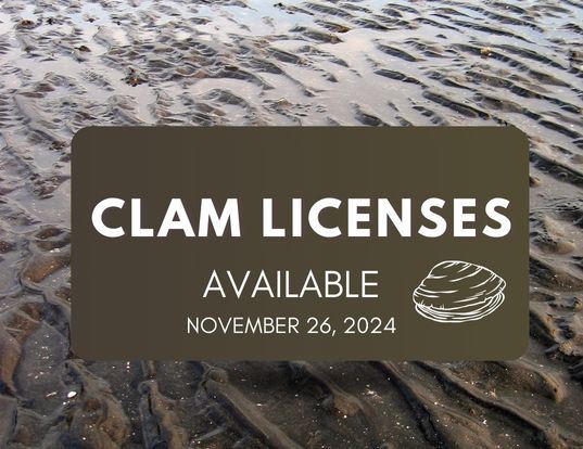 Clam licenses (2)