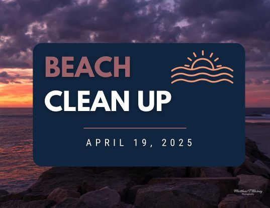 Beach Clean Up Newsflash (1)